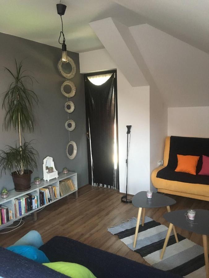 Stan Na Dan Loznica Apartment Luaran gambar
